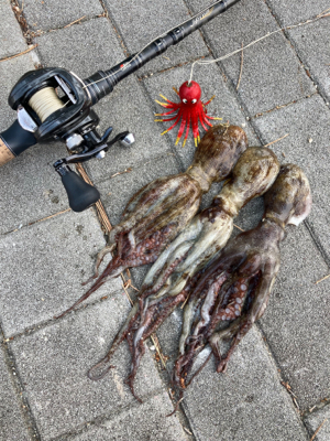 HC蛸散歩。何とか3杯。。