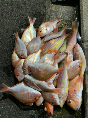 マイボートでイカラバ‼︎ ア…