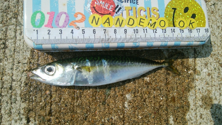 『釣りデビュー(^^)』214