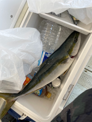 明石沖ジギング