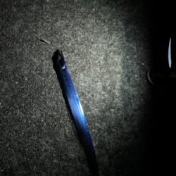 アジングのつもりが