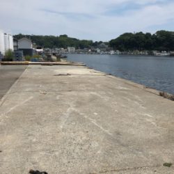 初めてだんご釣り