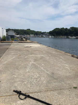 初めてだんご釣り