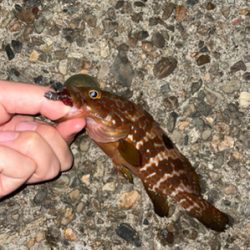 ライトロックゲーム