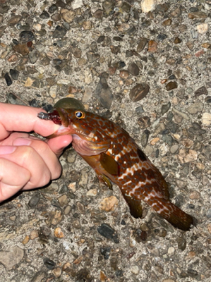 ライトロックゲーム