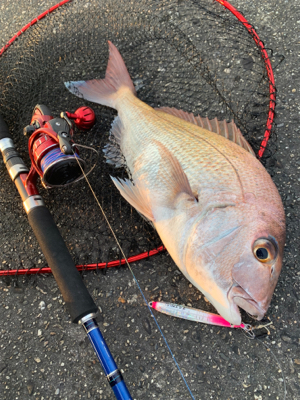 まさかの初ショアレッド！