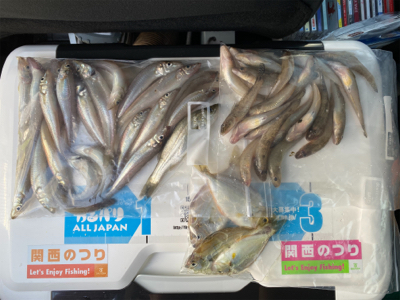 ちょい投げ、キス釣り