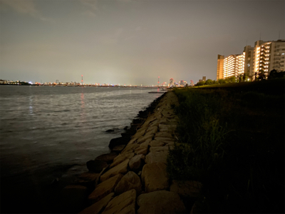 淀川ブリームゲーム