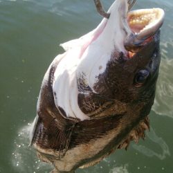 『釣りデビュー♡』217