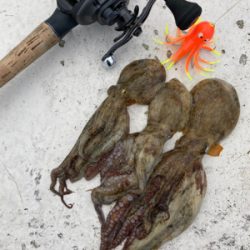 強風＆潮流に泣かされ何とか3杯。。。