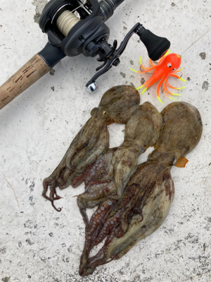 強風＆潮流に泣かされ何とか3杯。。。