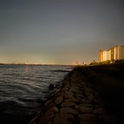 淀川ブリームゲーム