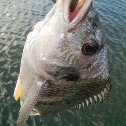 『釣りデビュー♬♬♬』219