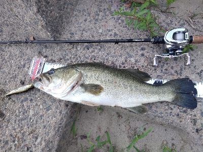 朝イチトップ！