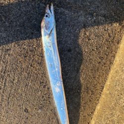 えいがんちょう