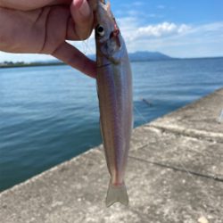 灼熱堤防でキス