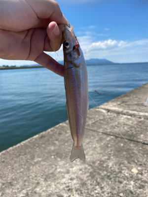 灼熱堤防でキス