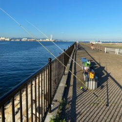 キス釣り、ハゼ釣り