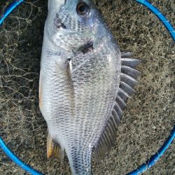 『釣りデビュー(^o^』220