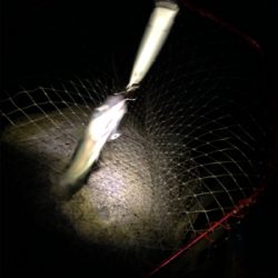 釣り人あるある