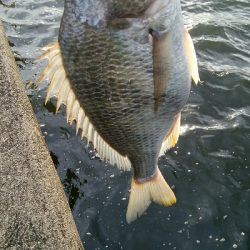 『釣りデビュー♬♬♬』221