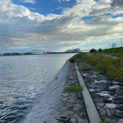 真夏のブリームゲーム