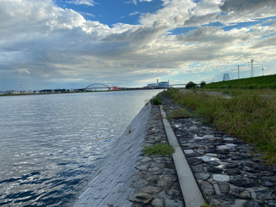 真夏のブリームゲーム