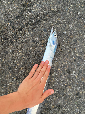 寝坊して１匹のみ