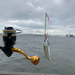 強風爆風のもと小鯖と戯れサヨリまで。。