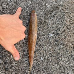 当たりは多かったけど