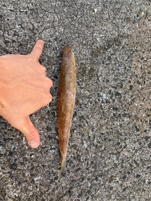 当たりは多かったけど