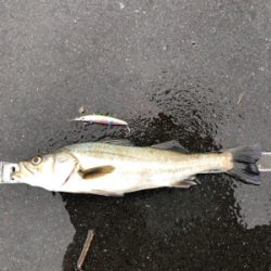 セットアッパーすごい!