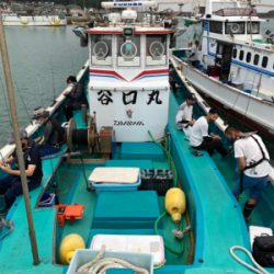 和歌山イカメタル