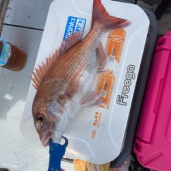 一つテンヤぼろ負け