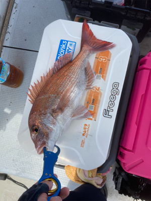 一つテンヤぼろ負け