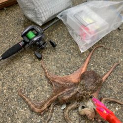 ⭐︎心地良い重み