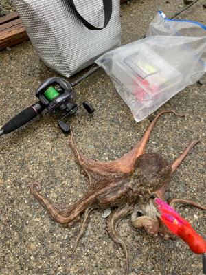 ⭐︎心地良い重み