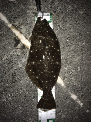 オレンジは強い！