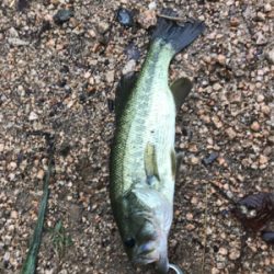 雨できつかった