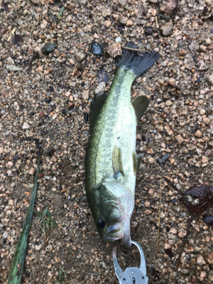 雨できつかった