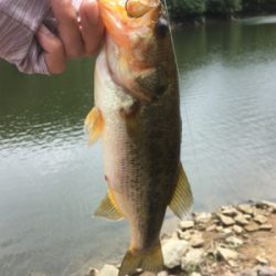 真昼間の布目ダム