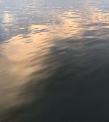 アジ釣りいったのにT^T