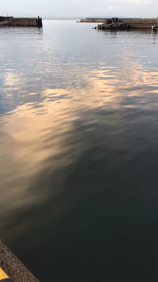 アジ釣りいったのにT^T