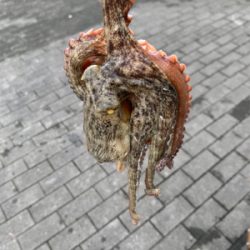 やっと、晴れ間が!