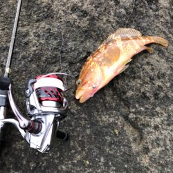 2021 佐渡ヶ島ライトゲーム