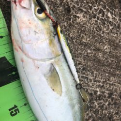 ショアジギング