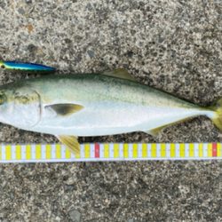 大蔵リベンジャーズ