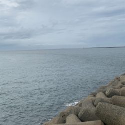 タチウオが釣りたくて❗️