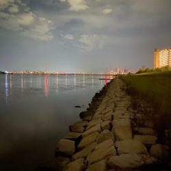 淀川ブリームゲーム