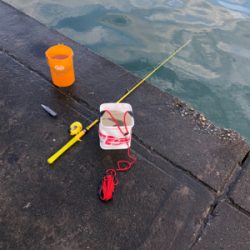 雨がやんだので